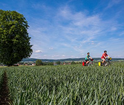 Zwei Radfahrer fahren durch Felder und Wiesen 