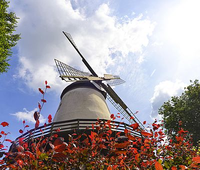 Blick auf die Windmühle in Glandorf 