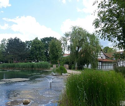 Der Kurpark in Bad Laer ist ein beschaulicher Ort zum Bummeln und die Seele baumeln lassen.